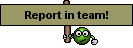 Reportinteam